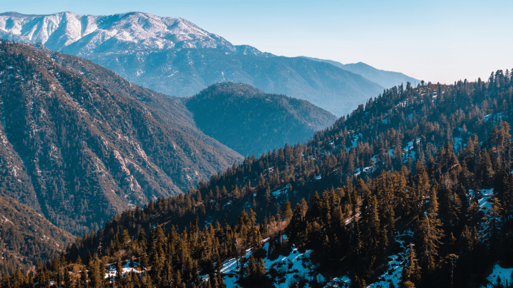Panoramic view of forested San Bernardino County mountains