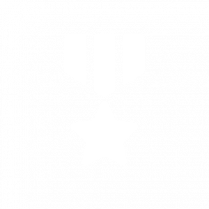 A medal with a star in the center, symbolizing veteran recognition or programs.