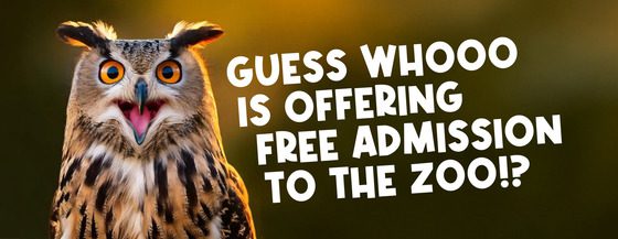Excited owl with wide eyes and open beak next to bold text: “Guess whooo is offering free admission to the zoo!?”